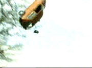 crazy_farmers_catapult_car_video.racing.hu.mpg