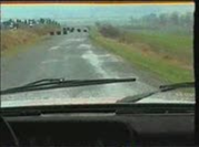siterisanyi_video.racing.hu.wmv